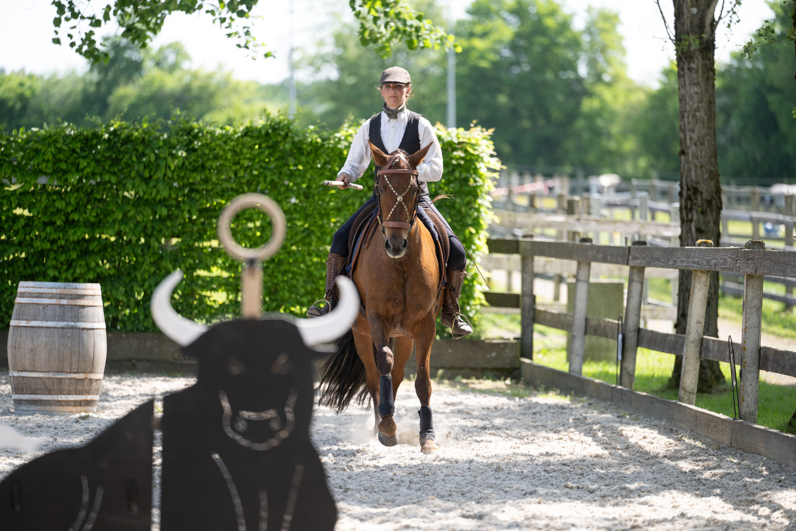 HorseAgility